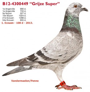 e-4300449-12W